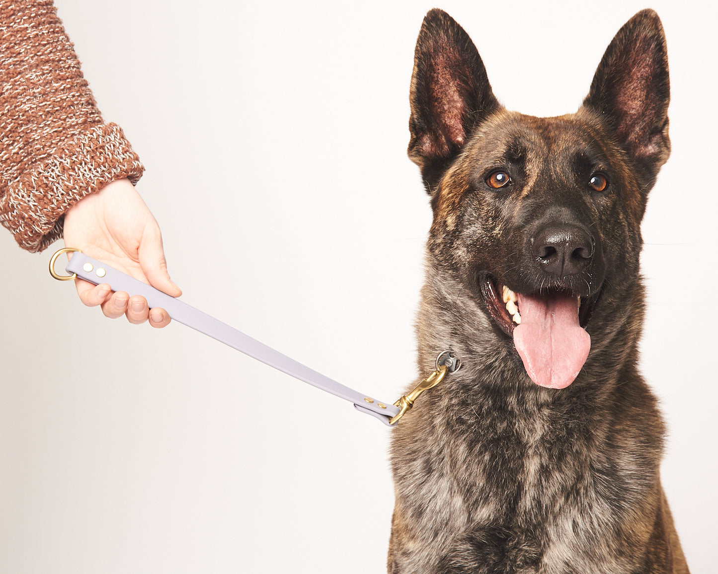 O-Ring Dog Training Tab and Leash Extender: 3/4" Waterproof Biothane with Natural Brass Hardware, Custom Length and Color