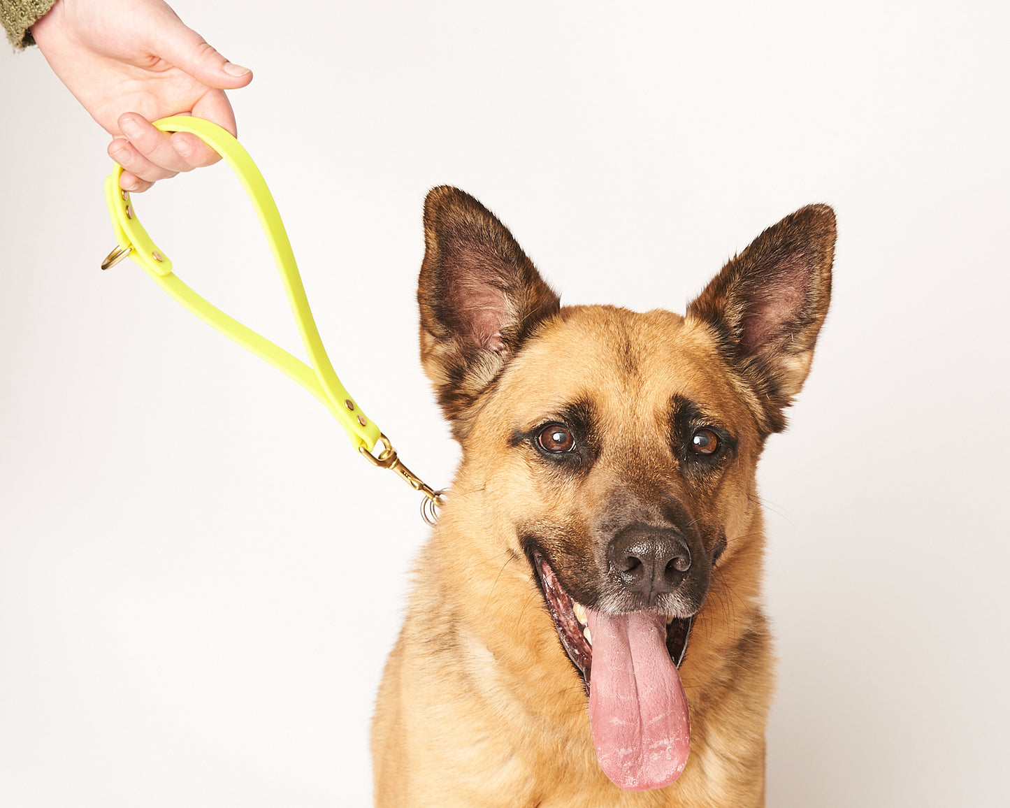 Traffic Loop Dog Training Tab and Leash Extender: 3/4" Waterproof Biothane with Custom Colors and Hardware