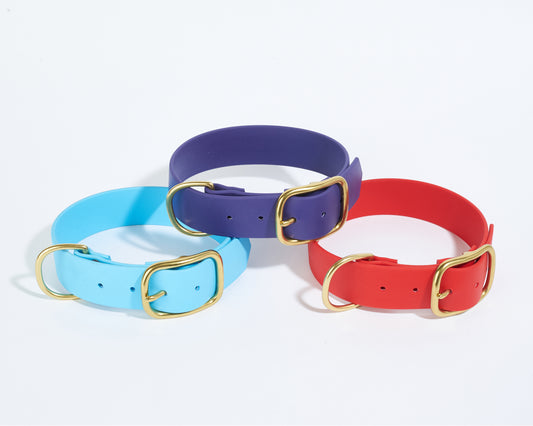 Flat Buckle Collar: 1-1/2" Waterproof Biothane with Custom Colors and Natural Brass Hardware