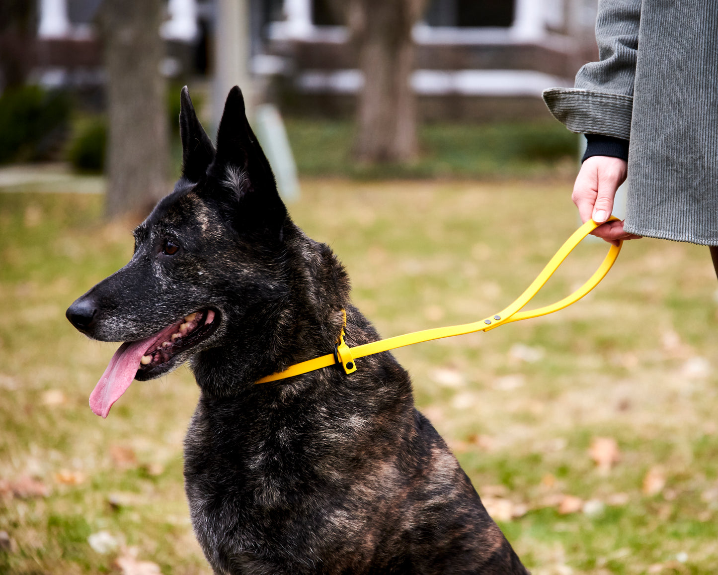 Adjustable 3 Foot Slip Leash: 1/2" Waterproof Biothane with Custom Colors and Hardware