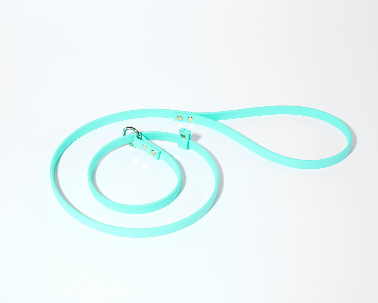 Adjustable 4 Foot Slip Leash: 1/2" Waterproof Biothane with Custom Colors and Hardware