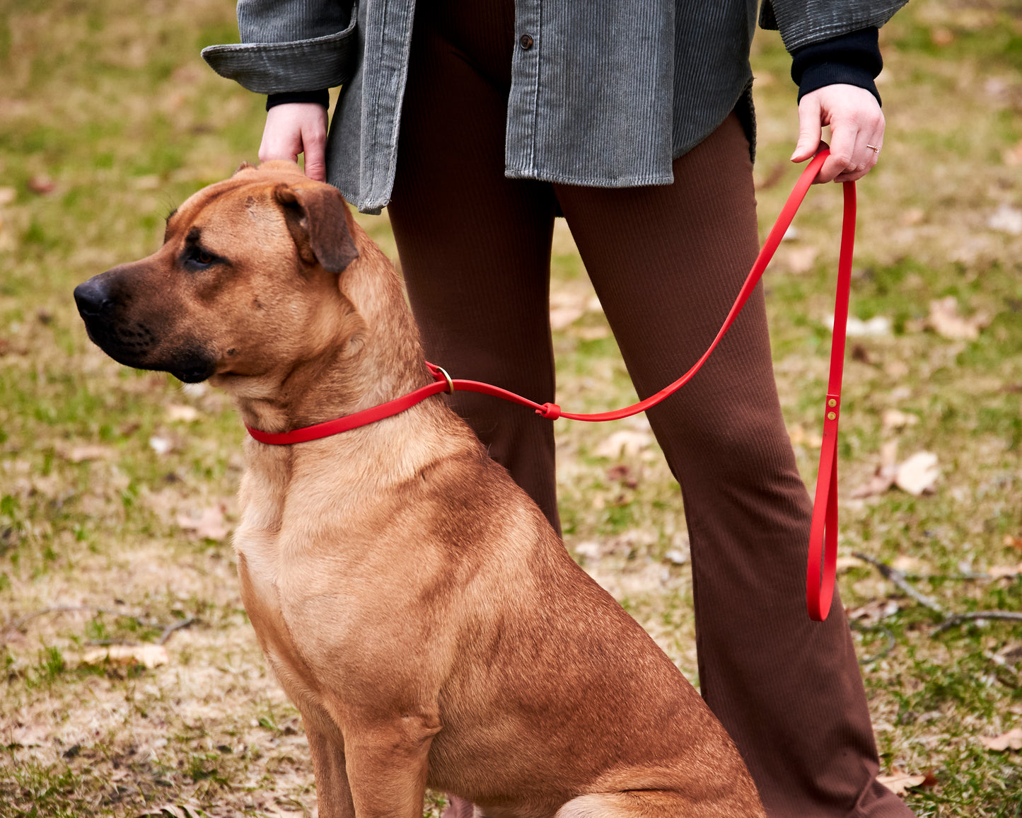 Adjustable 5 Foot Slip Leash: 1/2" Waterproof Biothane with Custom Colors and Hardware