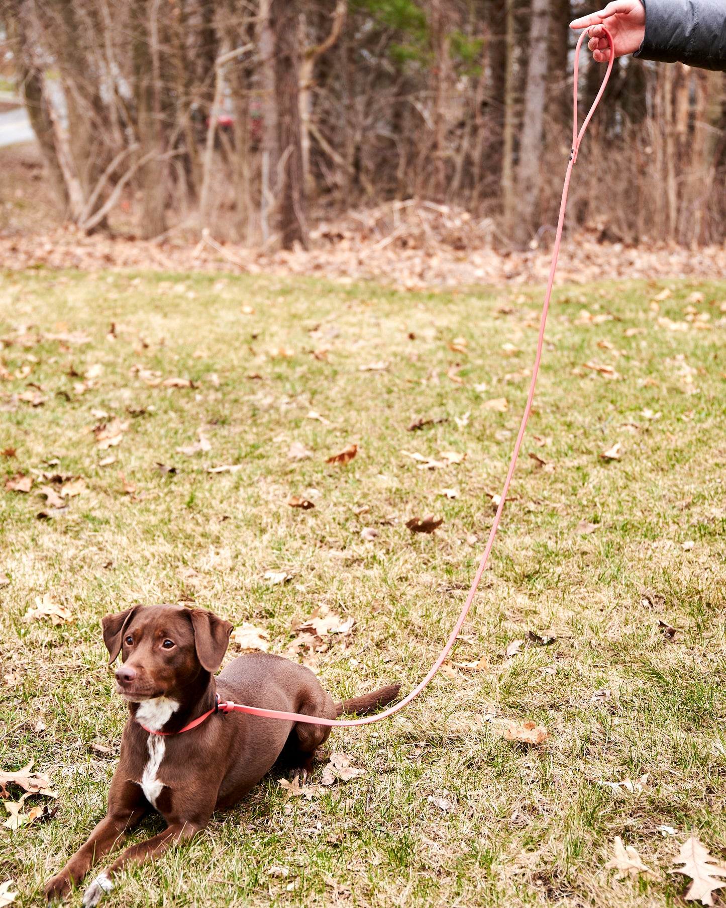 Adjustable 7 Foot Slip Leash: 1/2" Waterproof Biothane with Custom Colors and Hardware