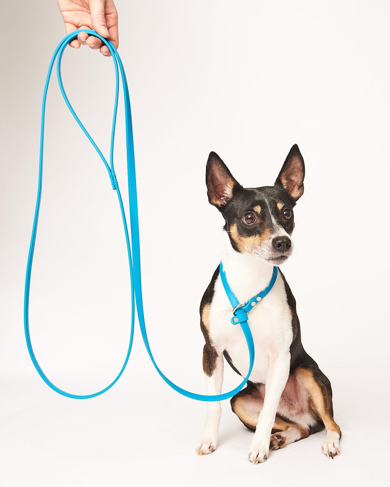 Adjustable 8 Foot Slip Leash: 1/2" Waterproof Biothane with Custom Colors and Hardware