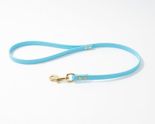 Standard 2 Foot Dog Leash: 1/2" Waterproof Biothane with Custom Colors and Hardware