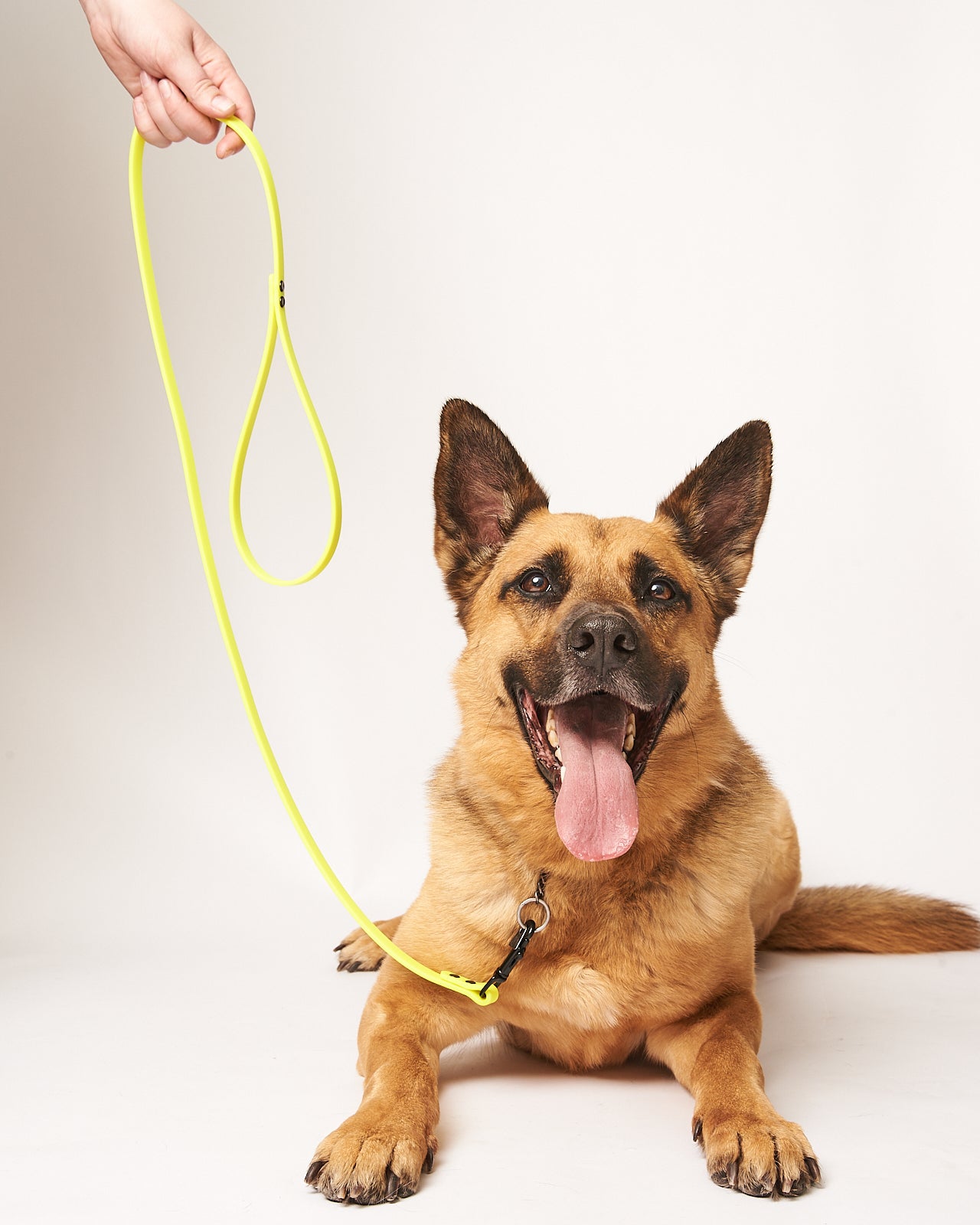 Standard 4 Foot Dog Leash: 1/2" Waterproof Biothane with Custom Colors and Hardware