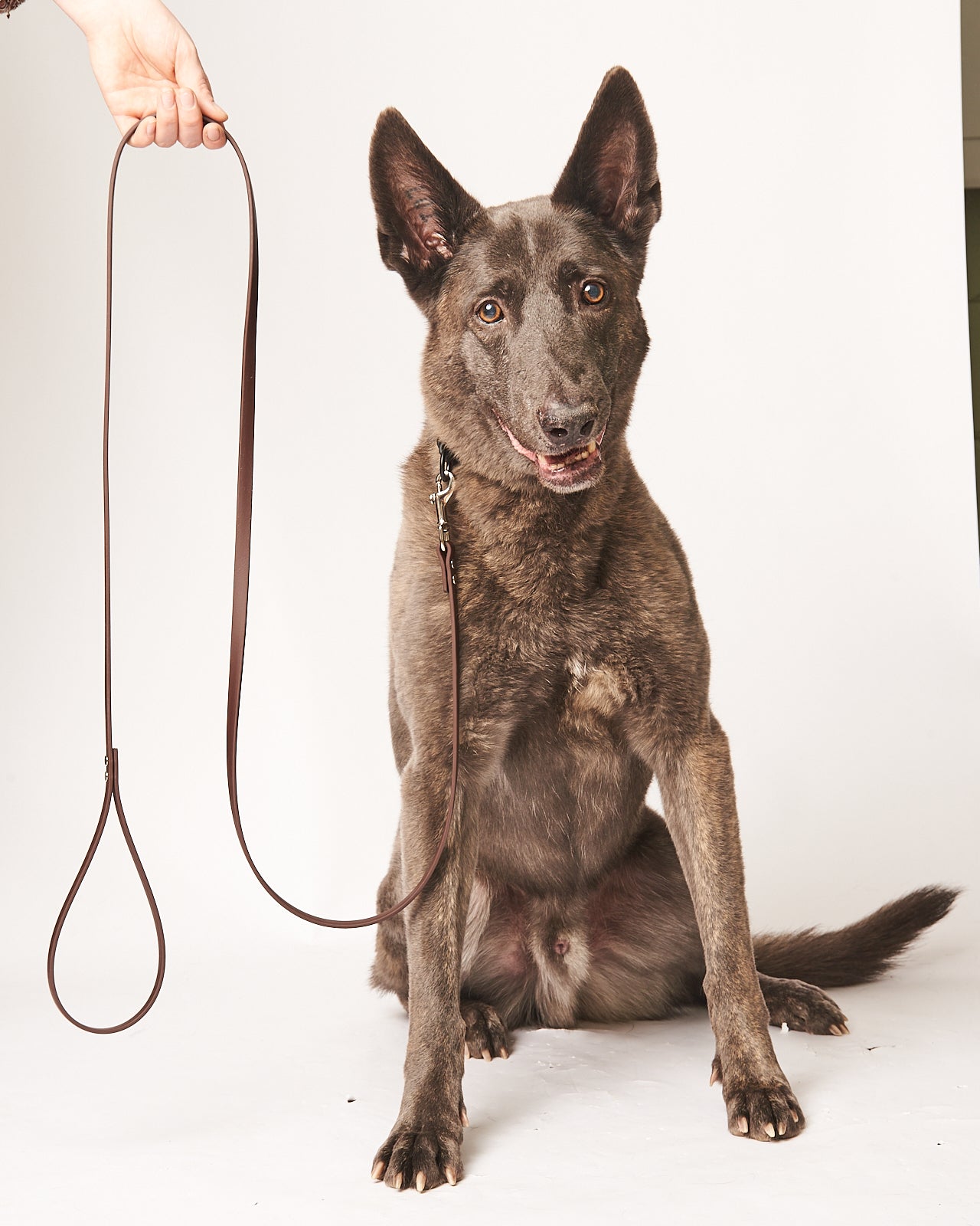 Standard 6 Foot Dog Leash: 1/2" Waterproof Biothane with Custom Colors and Hardware