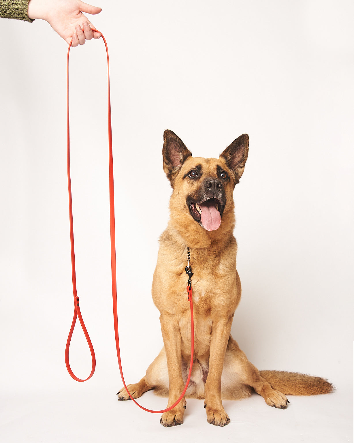 Standard 8 Foot Dog Leash: 1/2" Waterproof Biothane with Custom Colors and Hardware