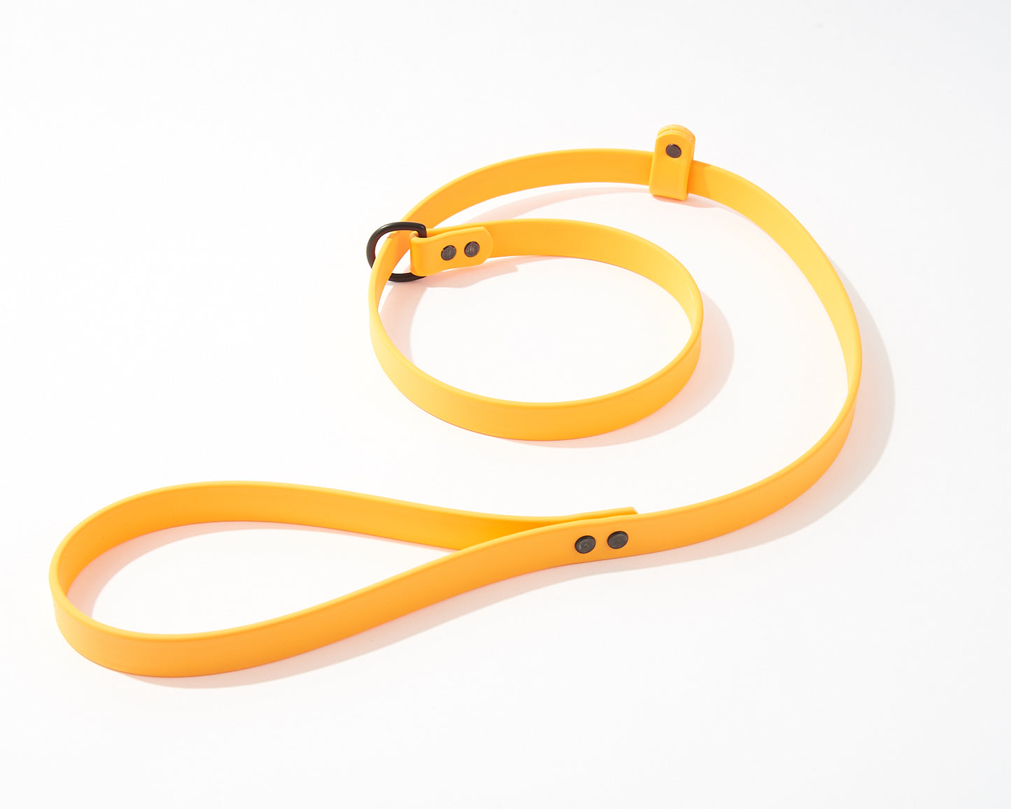 Adjustable 4 Foot Slip Leash: 3/4" Waterproof Biothane with Custom Colors and Hardware