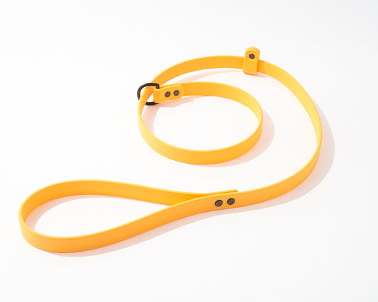 Adjustable 4 Foot Slip Leash: 3/4" Waterproof Biothane with Custom Colors and Hardware