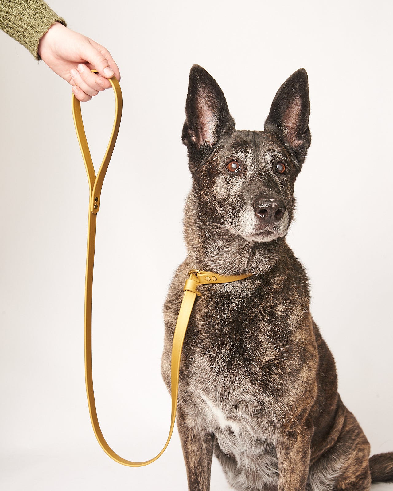 Adjustable 5 Foot Slip Leash: 3/4" Waterproof Biothane with Custom Colors and Natural Brass Hardware