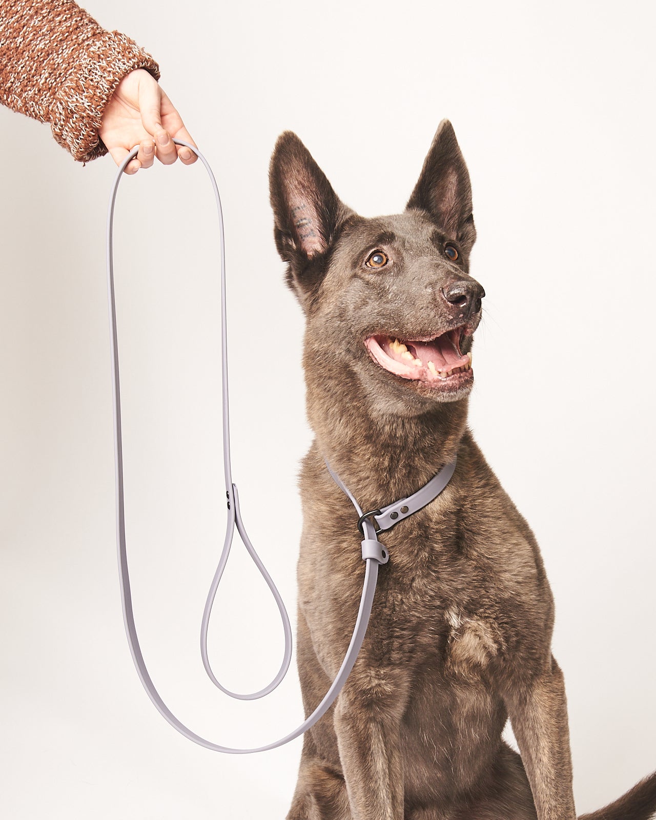 Adjustable 7 Foot Slip Leash: 3/4" Waterproof Biothane with Custom Colors and Hardware