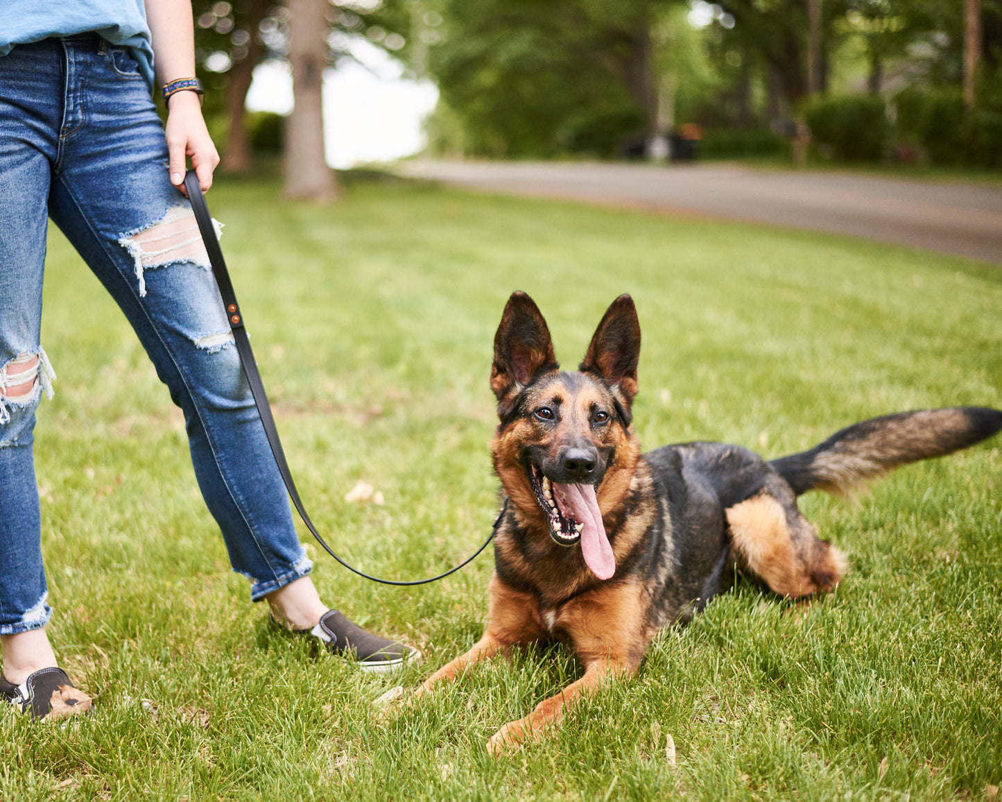 Standard 3 Foot Dog Leash: 3/4" Waterproof Biothane with Custom Colors and Natural Brass Hardware