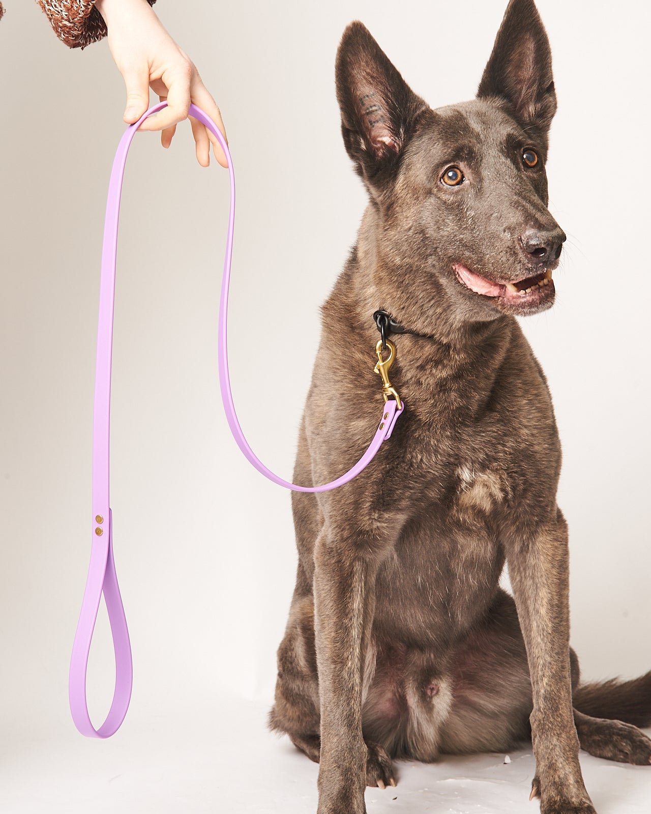 Standard 4 Foot Dog Leash: 3/4" Waterproof Biothane with Custom Colors and Natural Brass Hardware