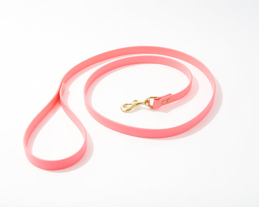 Standard 5 Foot Dog Leash: 3/4" Waterproof Biothane with Custom Colors and Natural Brass Hardware