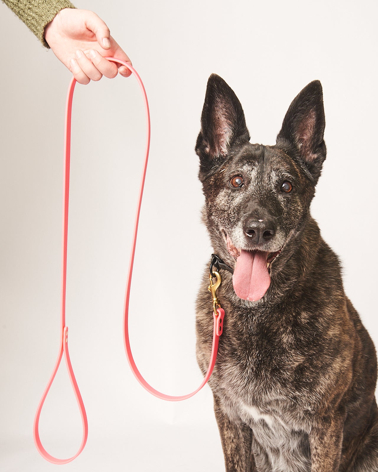 Standard 5 Foot Dog Leash: 3/4" Waterproof Biothane with Custom Colors and Natural Brass Hardware