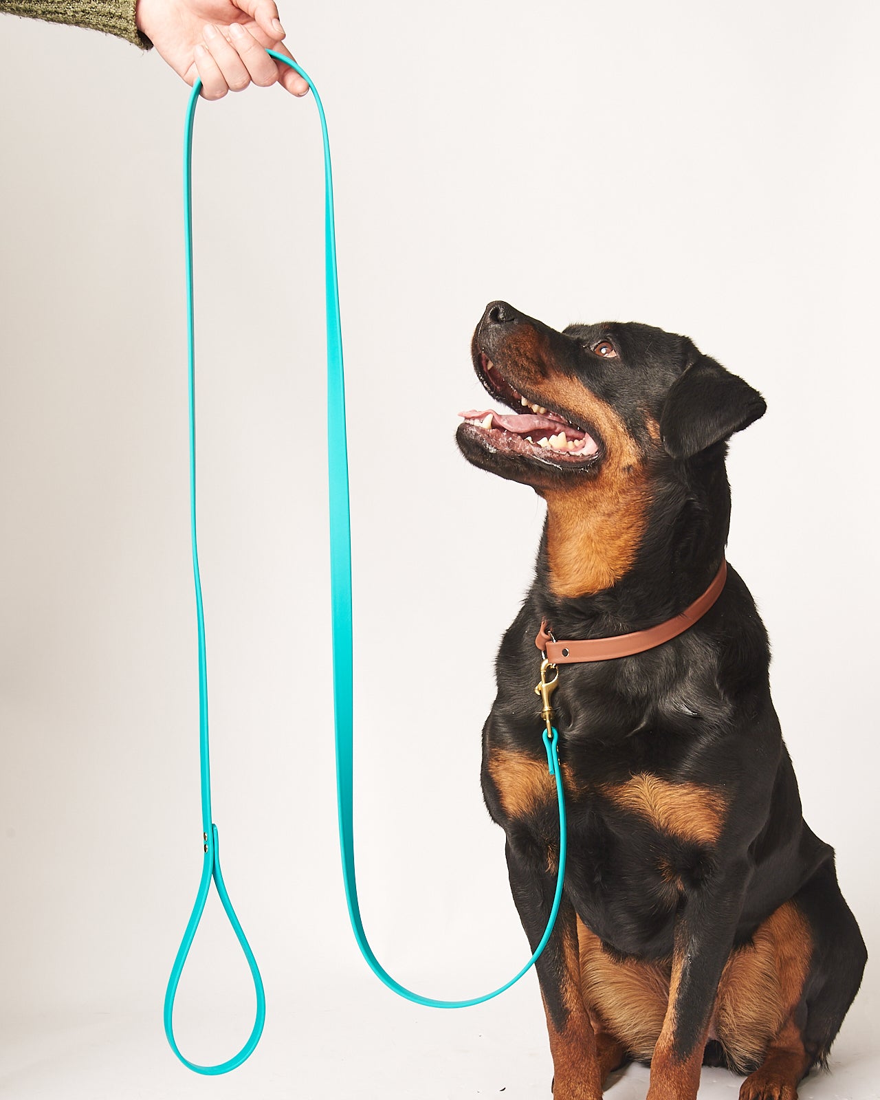 Standard 7 Foot Dog Leash: 3/4" Waterproof Biothane with Custom Colors and Natural Brass Hardware