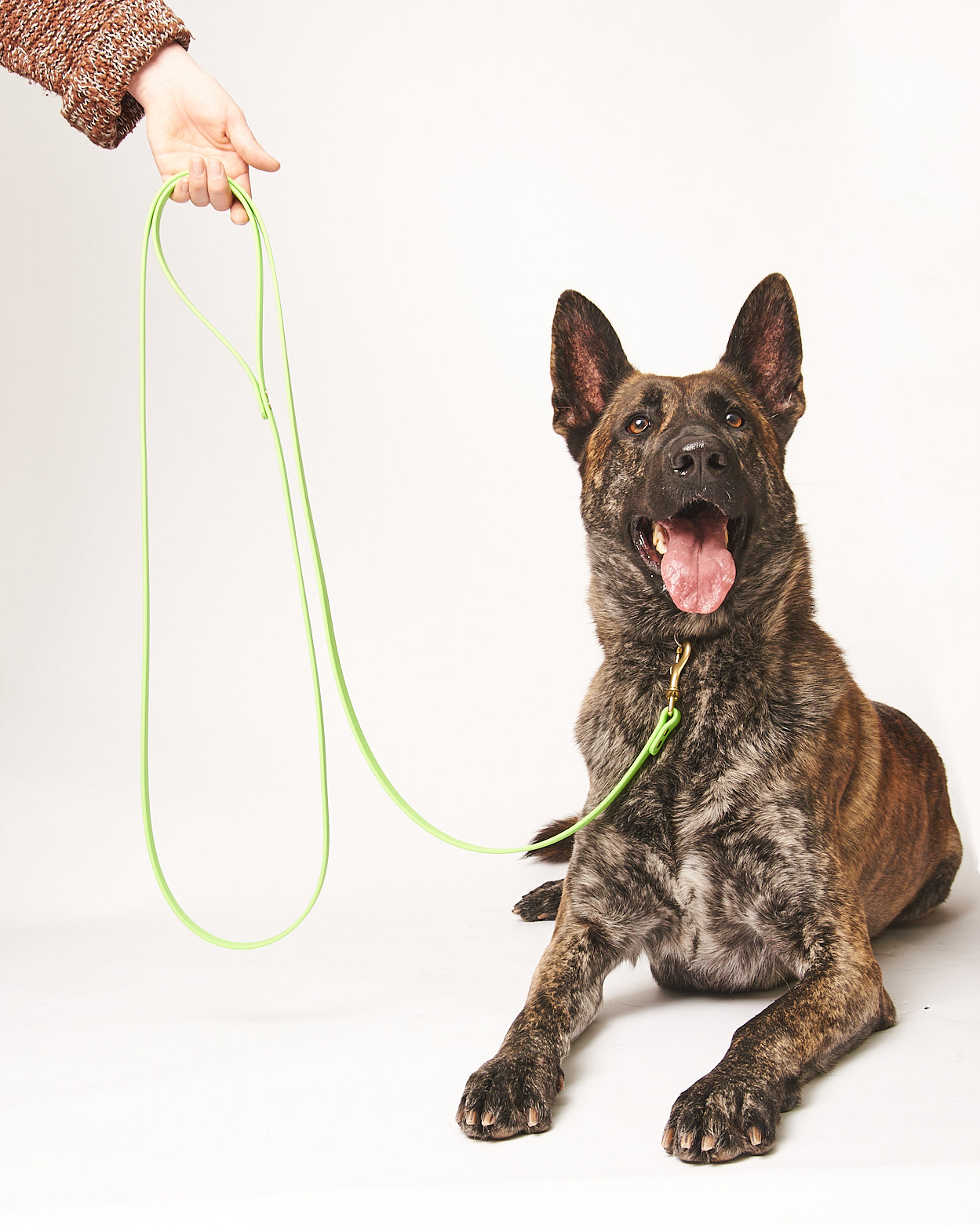 Standard 8 Foot Dog Leash: 3/4" Waterproof Biothane with Custom Colors and Natural Brass Hardware