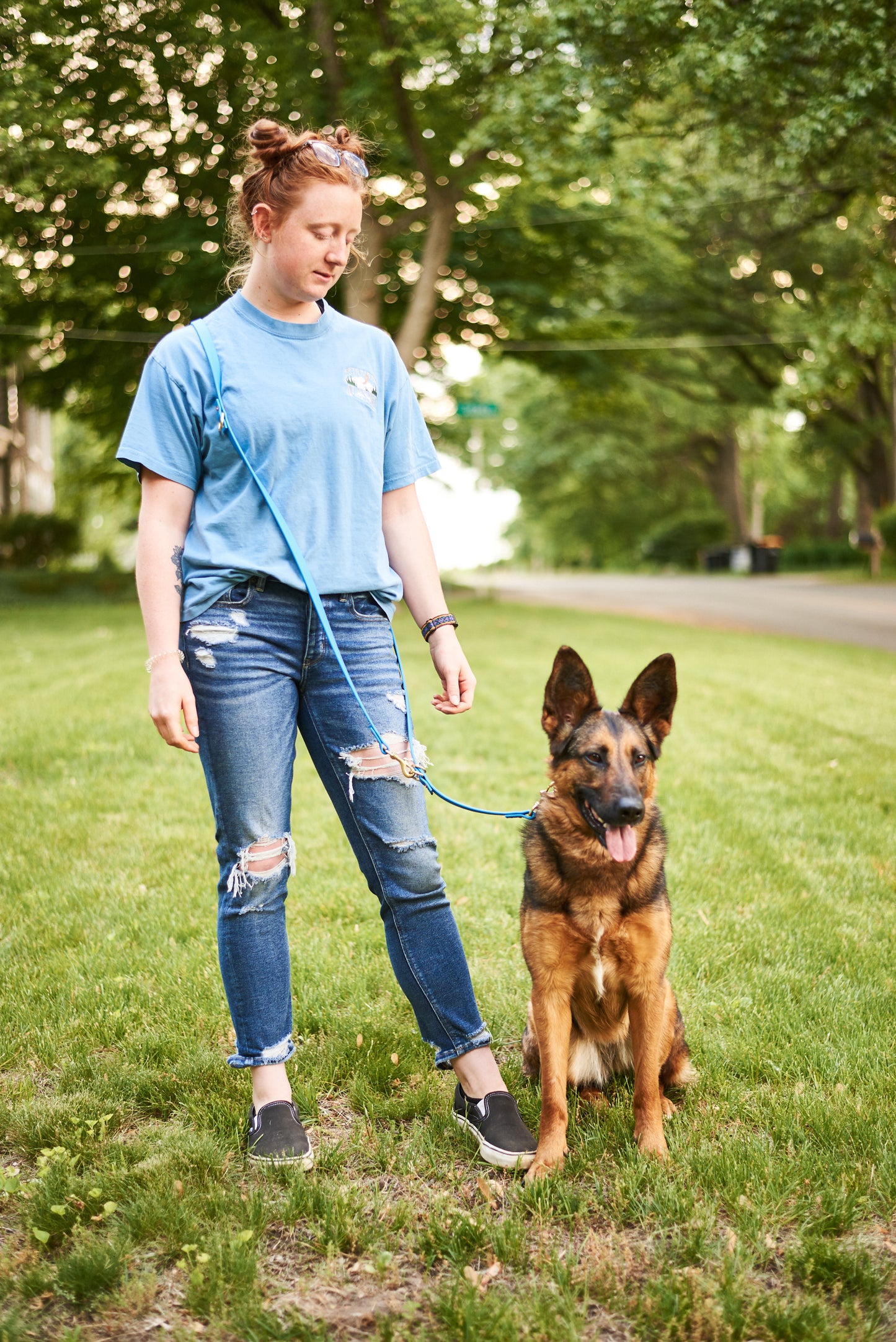 Modular Hands-Free "Police" Leash:  3/4" Waterproof Biothane with Custom Colors and Natural Brass Hardware