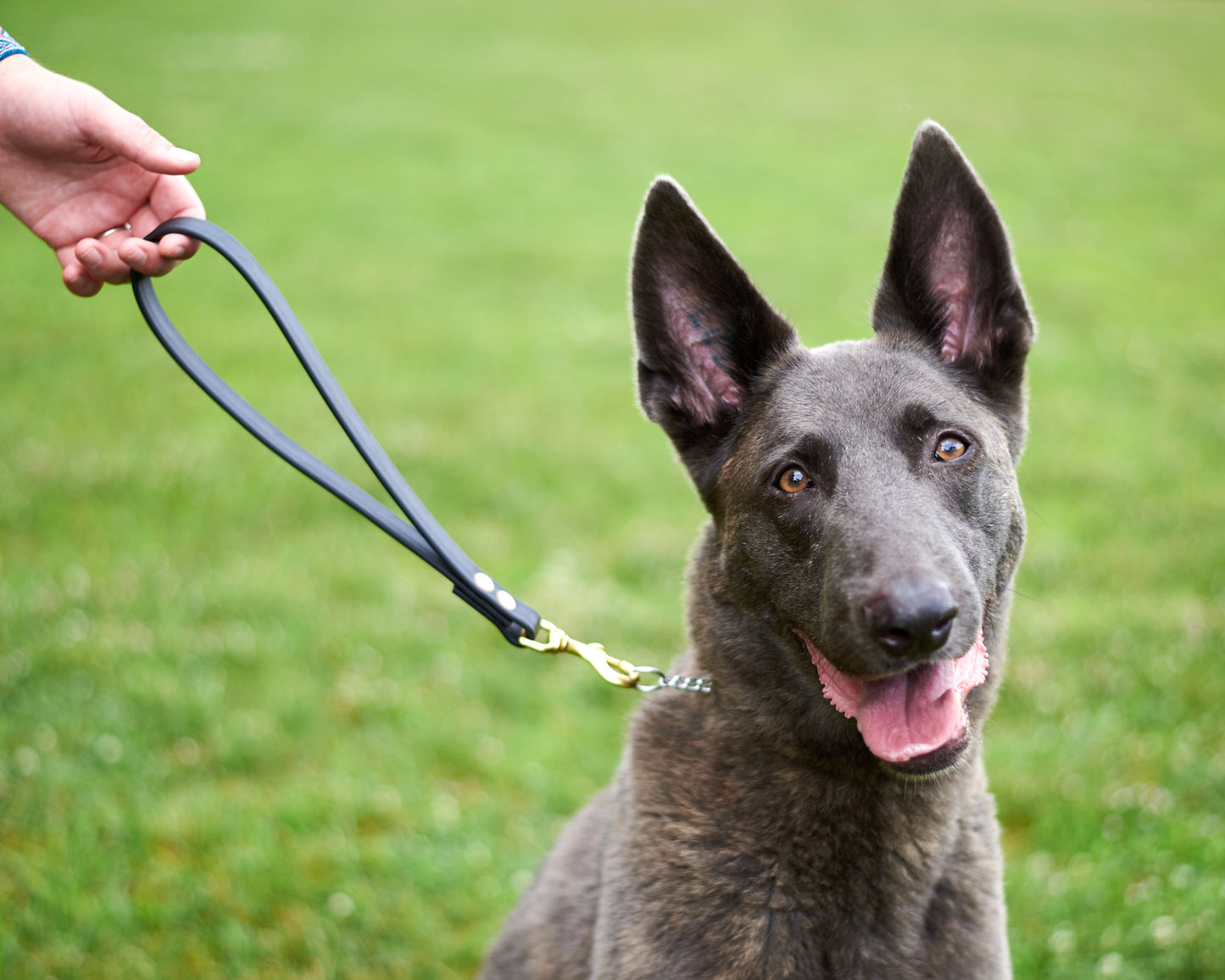 Open Loop Dog Training Tab: 3/4" Waterproof Biothane with Natural Brass Hardware, Custom Length and Color