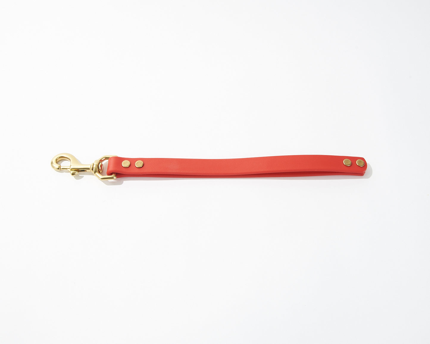 Flat-Loop Dog Training Tab: 3/4" Waterproof Biothane with Natural Brass Hardware