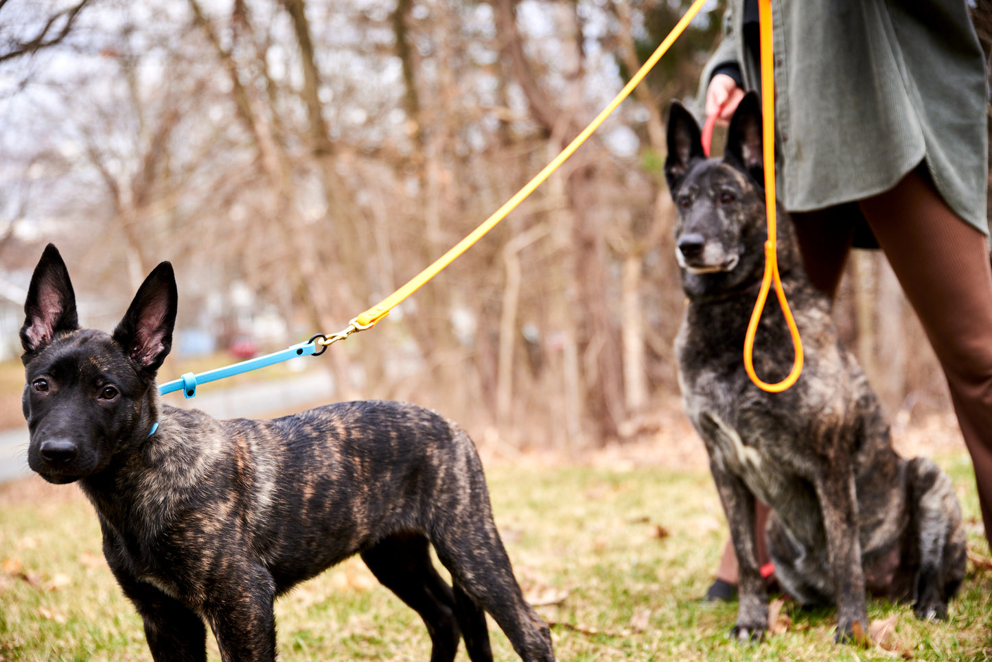 "Perfect Fit" Puppy Slip Training Collar: 1/2" Waterproof Biothane with Natural Brass Hardware